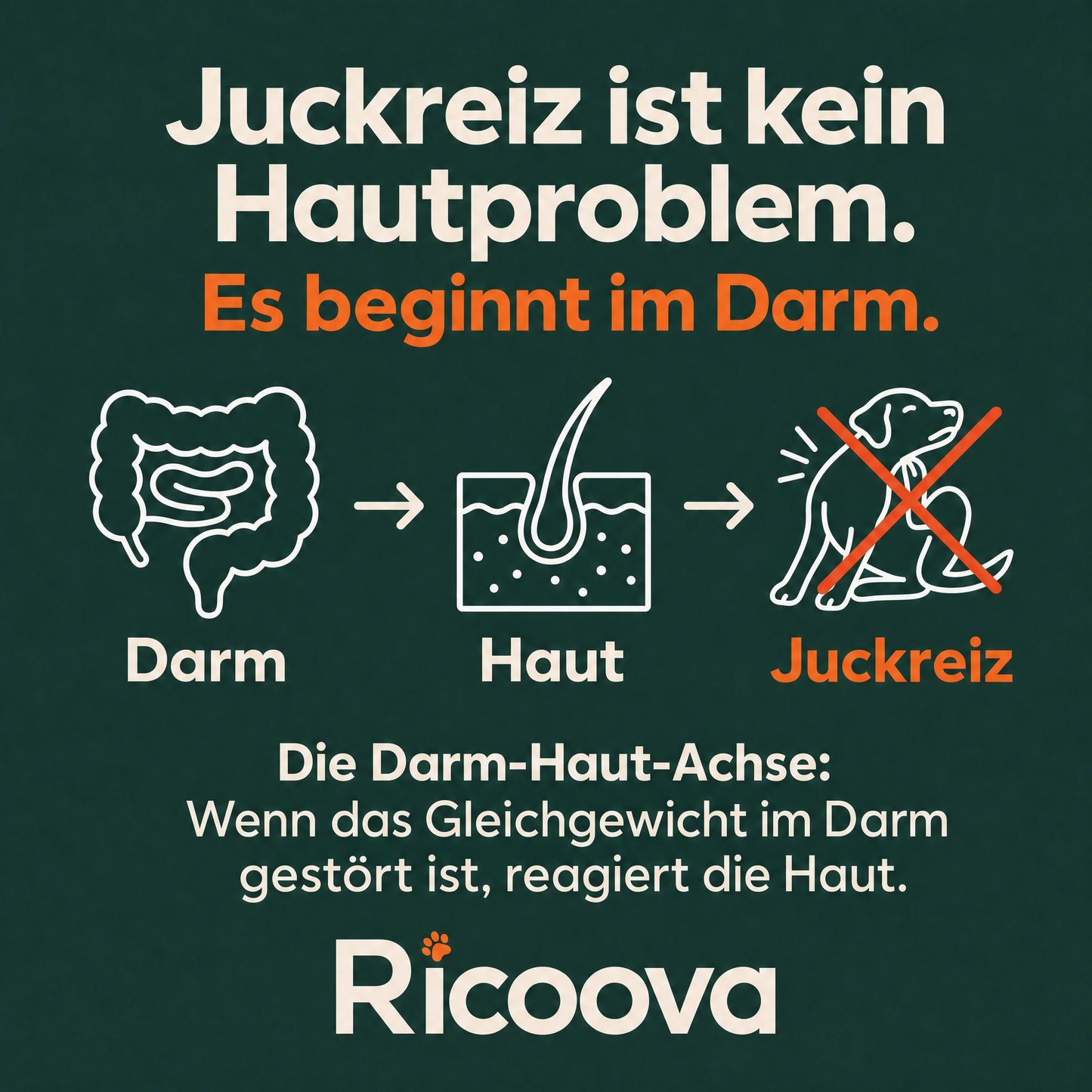 Kratzstopp Chews - 60 Tage Schutz
